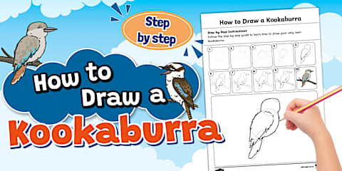 Kookaburra Colour with Patterns Activity