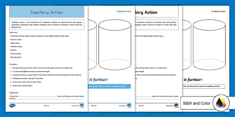 Third Grade Patterns in Motion Lesson Pack