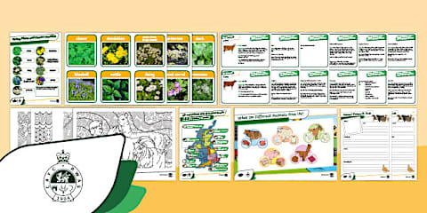EYFS Spring Kindness Tree Adult Input Plan and Resource Pack