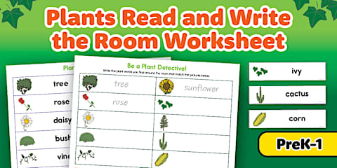 Camping Read and Write the Room Activity for PreK-1st Grade