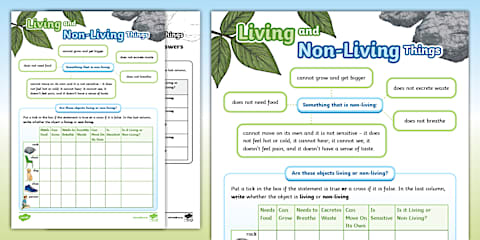 Living and Non-Living Things - Activity Sheet