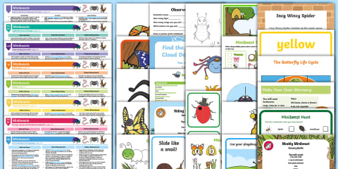 EYFS Minibeasts Activity Planning and Continuous Provision Ideas ...