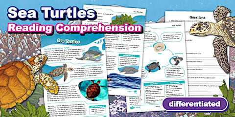 Informative Text Structures and Features Poster