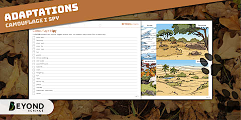 Intermediate Phase Natural Science - Predator and Prey - Interactive ...