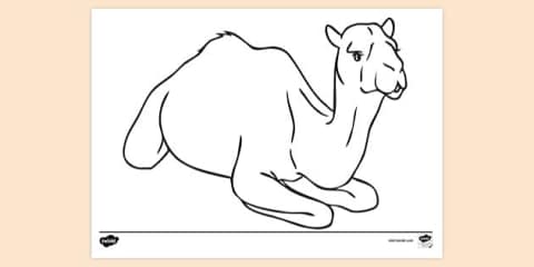 Camel Do a Dot Activity