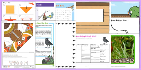 Birds in Your Garden Fact File Worksheet