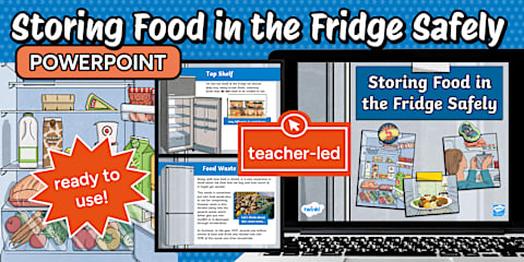 Storing Food in the Fridge Sorting Worksheet