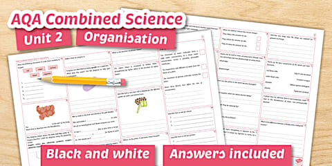 AQA GCSE Organisation Multiple Choice Quiz PowerPoint