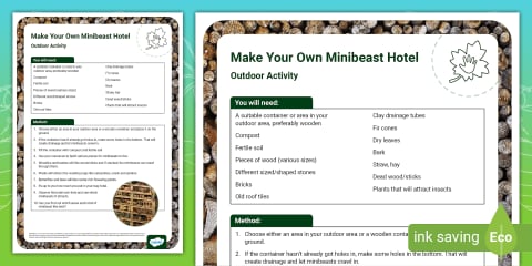 Design a Bug Hotel Worksheet