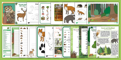 EYLF Maths Natural Materials Counting Whole Class Adult Input Plan and ...