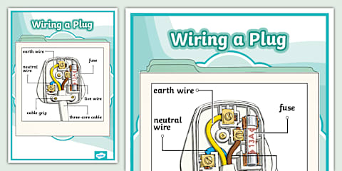 Labelling a Plug