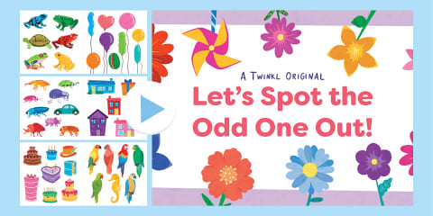Let's Spot the Odd One Out eBook