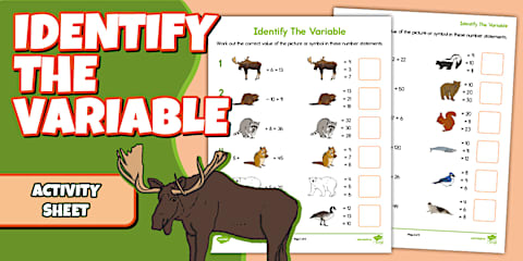 Variables and Equations PowerPoint