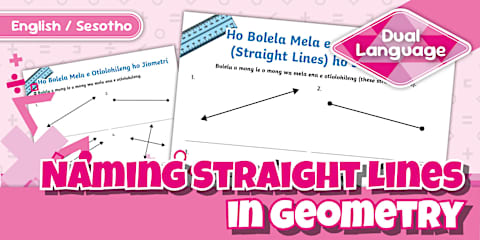 Grade 7 Maths - Term 2 - Naming Straight Lines in Geometry - Activity ...