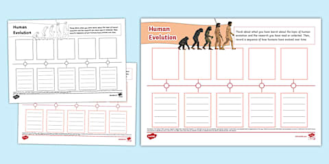 Human Evolution Display Poster