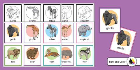 Zoo Animals Sensory Bin Matching Activity Mat
