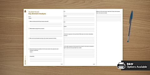 Studied Novel Character Analysis Activity