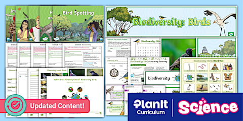 Science: Biodiversity: Birds: Migration Year 3 Lesson 4