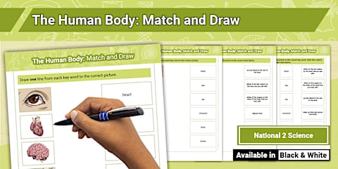 Living Things: The Human Body Mind Map Activity