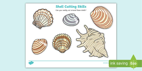 Seashells Cutting Skills Worksheets