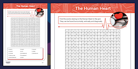 Label the Human Heart Worksheet