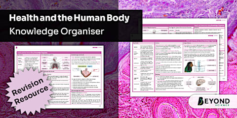 KS3 Health and the Human Body Higher Revision Mat