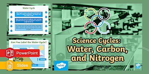 Sixth Grade Carbon Cycle Color by Number Activity