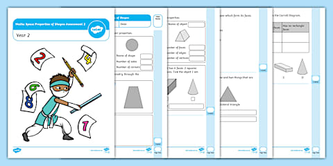Year 2 Maths Space Properties of Shapes Assessment 1