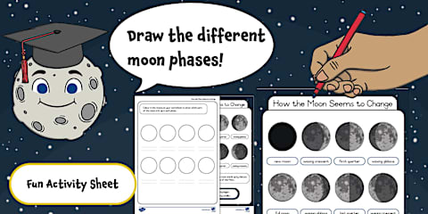 Data Handling For Grade R Grade 1 Life Skills - Term 4 -Beginning Knowledge and Personal and ...