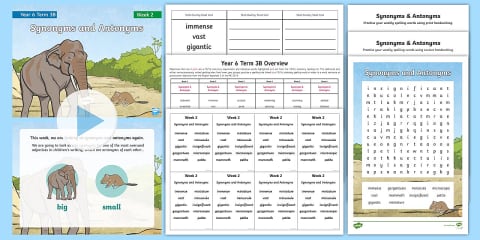 Year 4 Term 3B Week 2 Spelling Pack