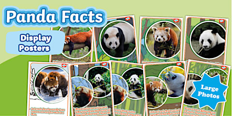 Giant Pandas Word Mat
