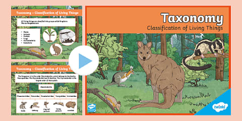 Classification System Sequencing Activity