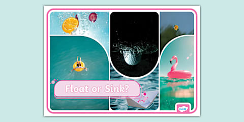 Sink and Float Objects Word Search