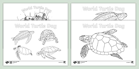 World Turtle Day Word Search