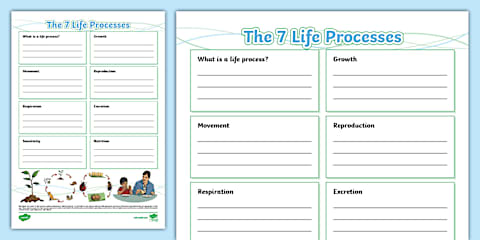 Processing Life Worksheet MRS GREN Life Processes Worksheet