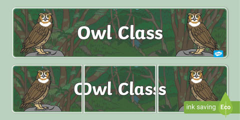 Owls Class Colouring Display Banner