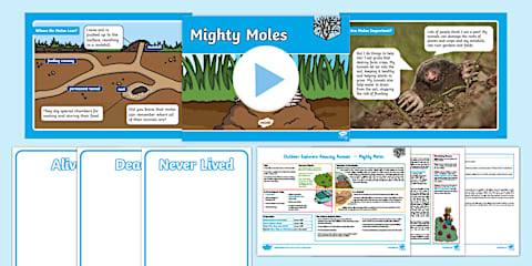 Outdoor Explorers EYFS Autumn Lesson 5: Migration Magic Lesson Pack