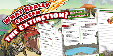 Viking Shield Folding Art Template