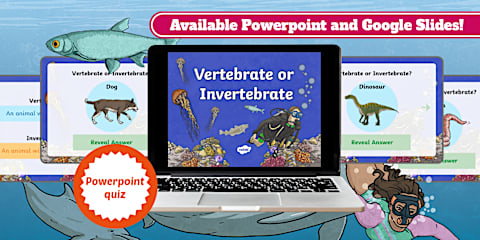 Invertebrates PowerPoint