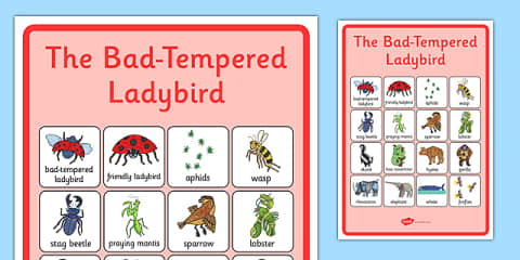 Story Sequencing to Support Teaching on The Bad Tempered Ladybird