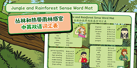 Human and Physical Features of the Amazon Rainforest Sorting Cards ...