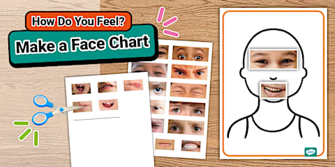 Feelings and Emotions Sorting Activity