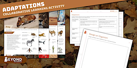 Adaptations Poster Pack