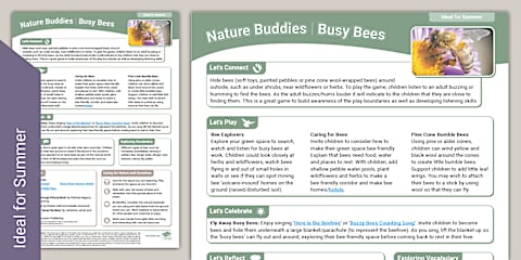 EYFS Nature Buddies Outdoor Learning: Summer Leaves