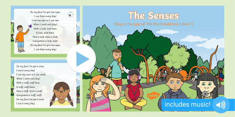 My Five Winter Senses PowerPoint