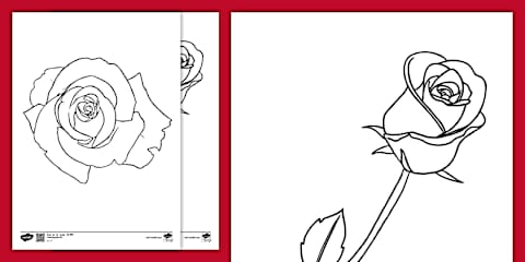Rose Template Activity