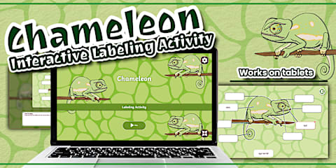 취미입체 삼각 만들기 | Hobbies Triarama Craft Activity