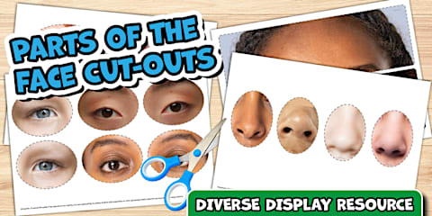 Making Faces Cut and Stick Activity