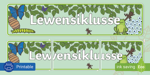die-lewensiklus-van-n-sprinkaan-vertoonbanier