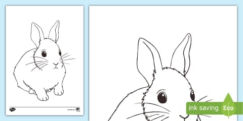 Beatrix Potter - The Tale of Benjamin Bunny Coloring Sheets